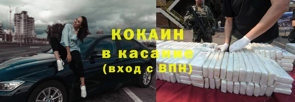 шишки Богородицк